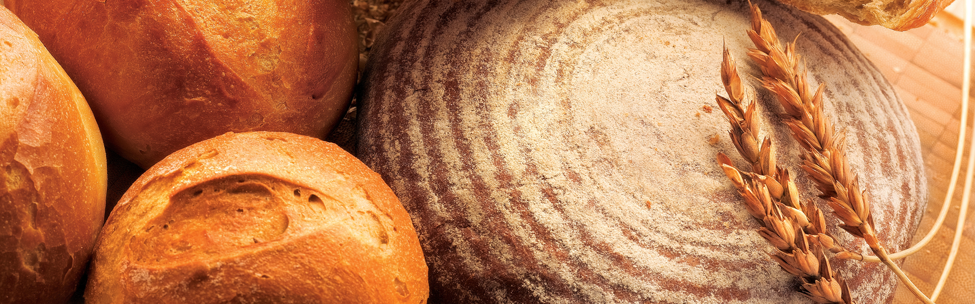 Bäckerei Schönfelder